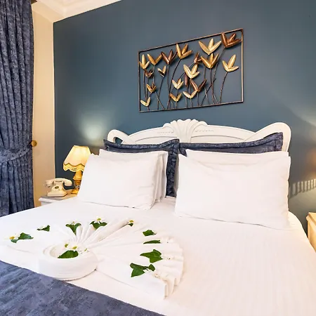 1207 Special Class Sultanahmet イスタンブール