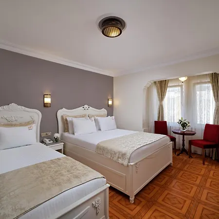 1207 Special Class Sultanahmet Hotel 4*
