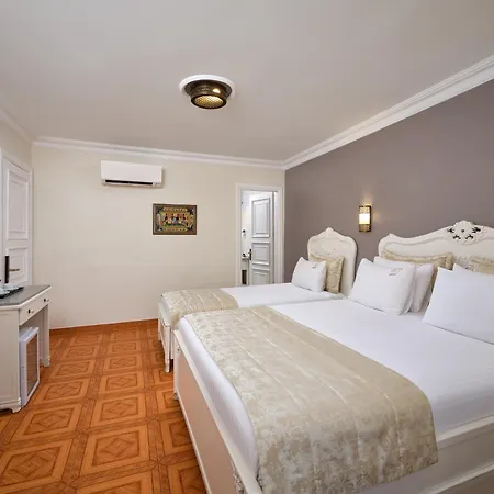 1207 Special Class Sultanahmet ホテル イスタンブール