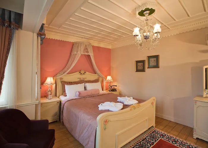 1207 Special Class Sultanahmet Отель 4*