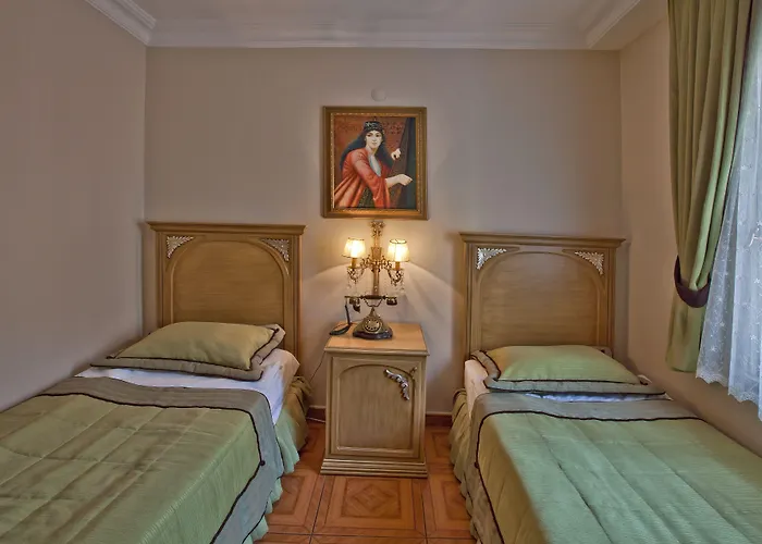 1207 Special Class Sultanahmet Отель 4*