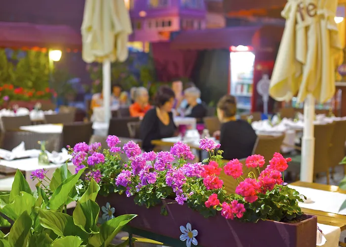 1207 Special Class Sultanahmet Hotell 4*