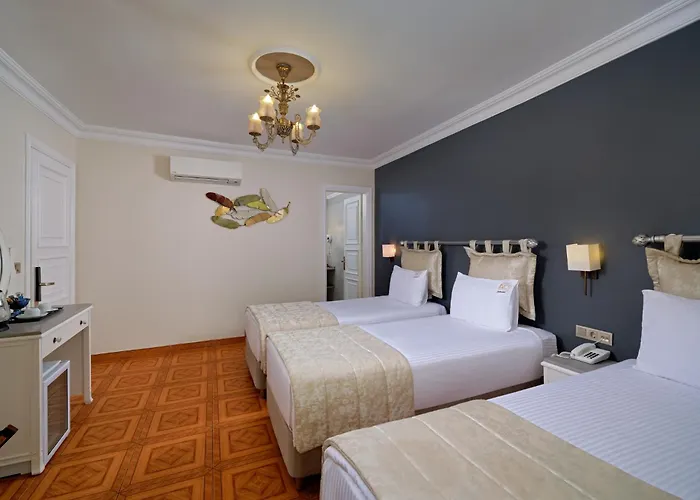 1207 Special Class Sultanahmet Hotell Istanbul