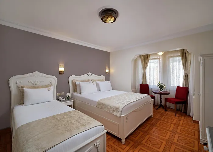 1207 Special Class Sultanahmet Hotell 4*