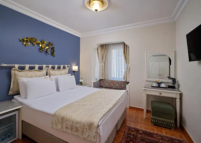 1207 Special Class Sultanahmet Hotell 4*
